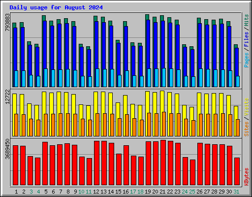 Daily usage for August 2024