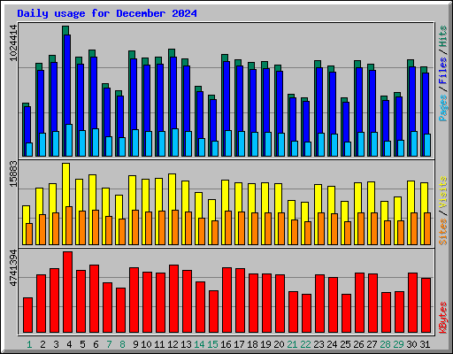 Daily usage for December 2024