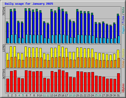 Daily usage for January 2025