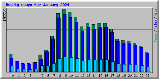 Hourly usage for January 2024