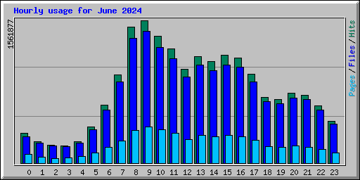 Hourly usage for June 2024