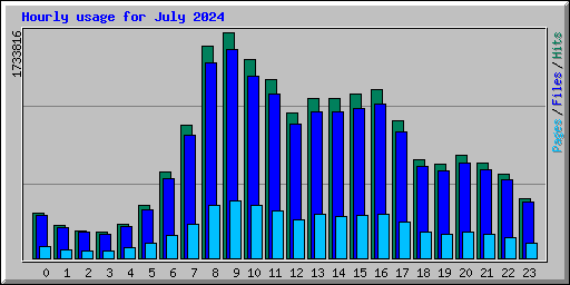 Hourly usage for July 2024