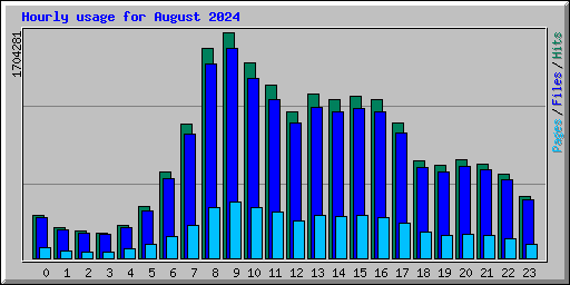 Hourly usage for August 2024