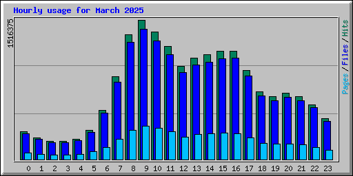 Hourly usage for March 2025