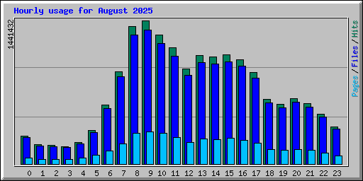 Hourly usage for August 2025