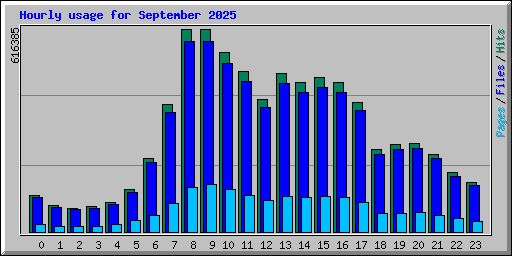Hourly usage for September 2025